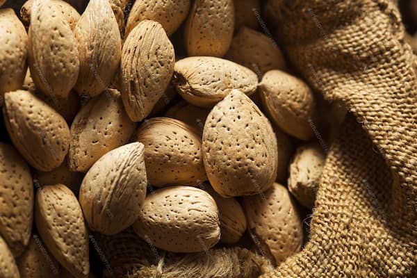 تصویر 3 از انواع بادام درختی لعابی با قیمت ویژه